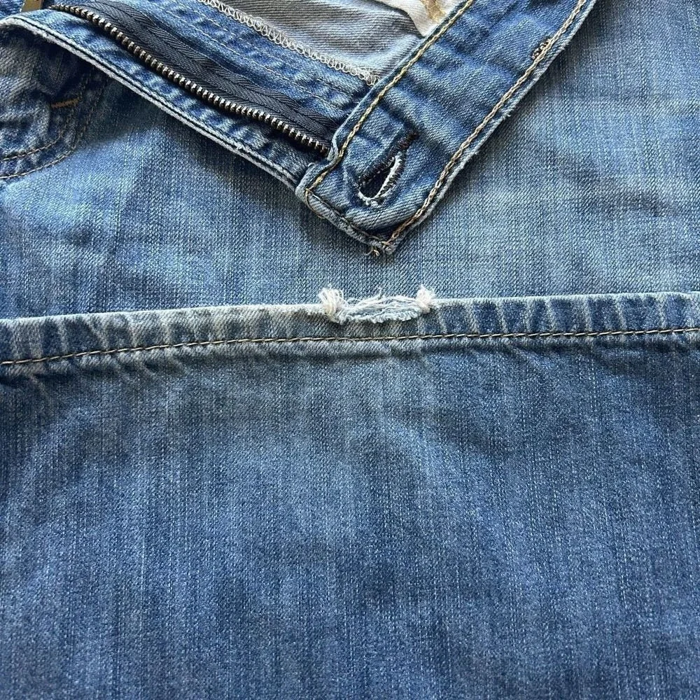 Levis levis 559